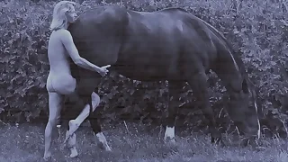 135 horse porn videos